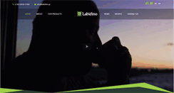 Desktop Screenshot of labidino.gr