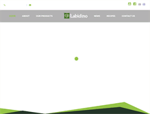 Tablet Screenshot of labidino.gr